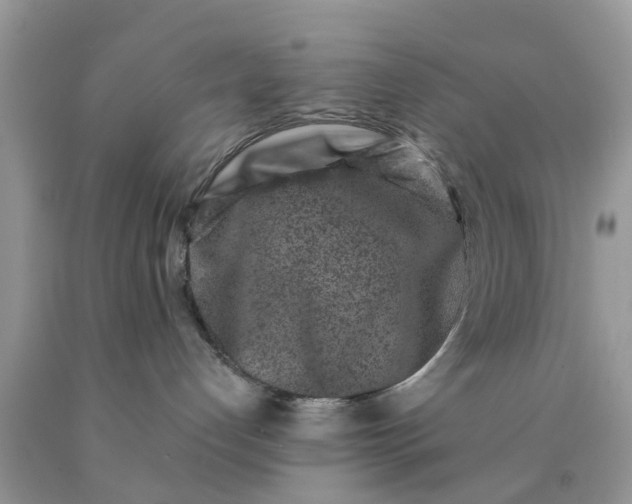 X0000090420192200707272118