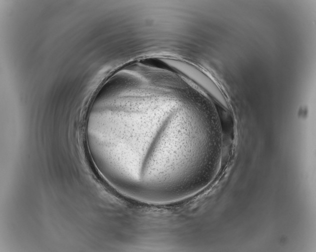 X0000090420193200707272118