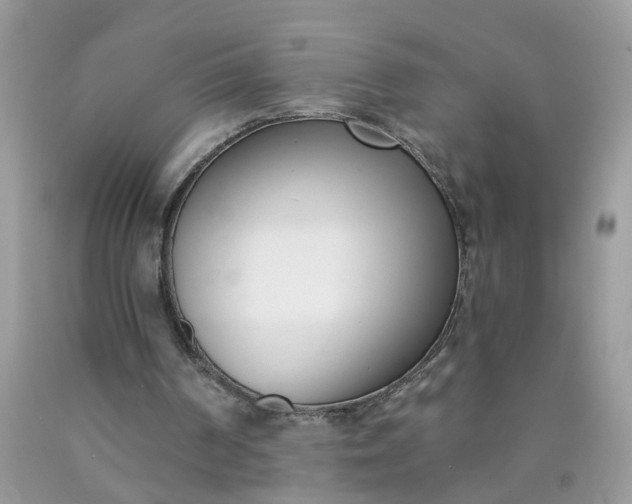 X0000090420194200707272118