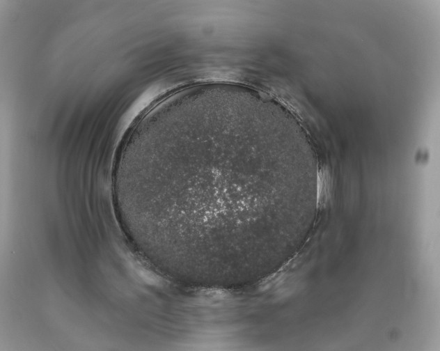 X0000090420195200707272118