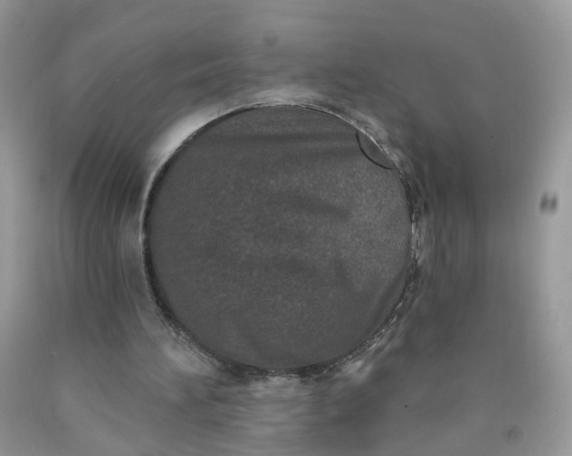 X0000090420196200707272118