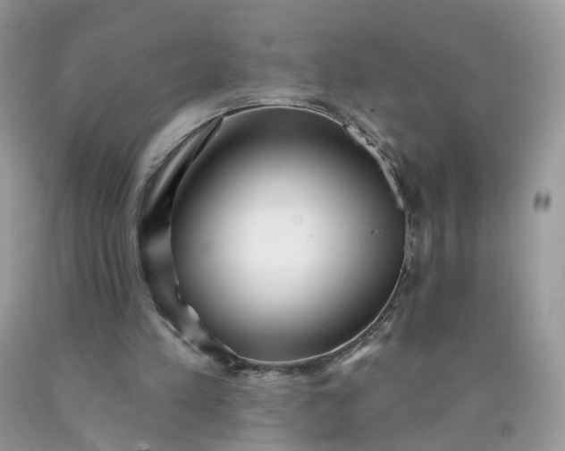 X0000090420197200707272117