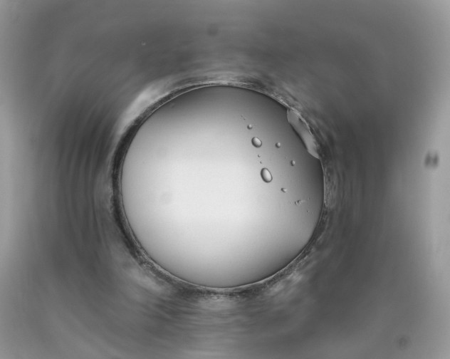 X0000090420198200707272117