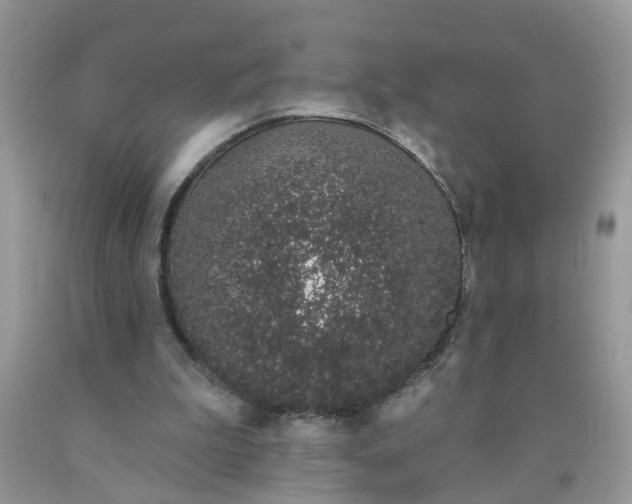 X0000090420199200707272117