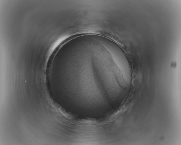 X0000090420200200707272117