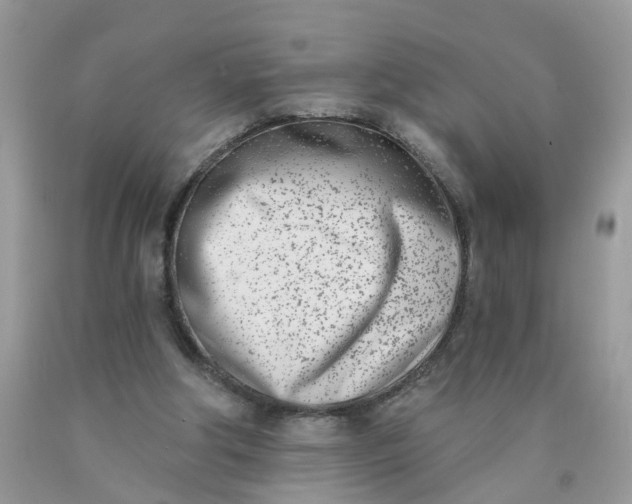 X0000090420202200707272117