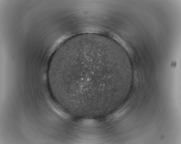 X0000090420203200707272117