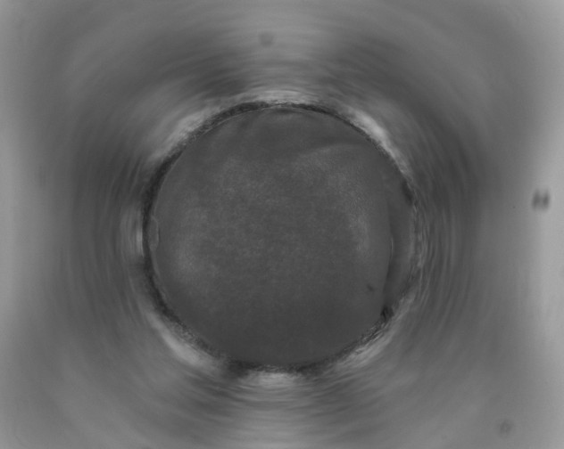 X0000090420205200707272117