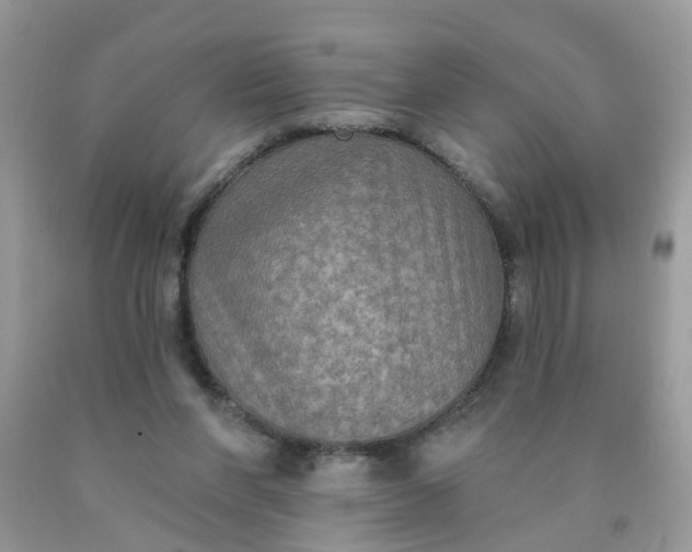 X0000090420206200707272117