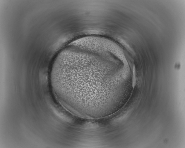 X0000090420207200707272117