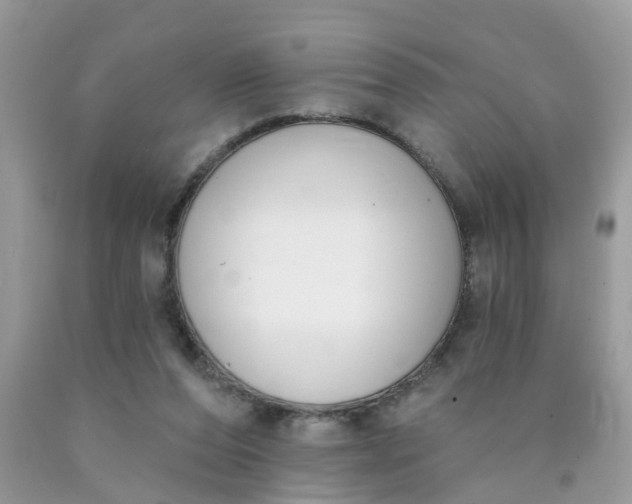 X0000090420208200707272117