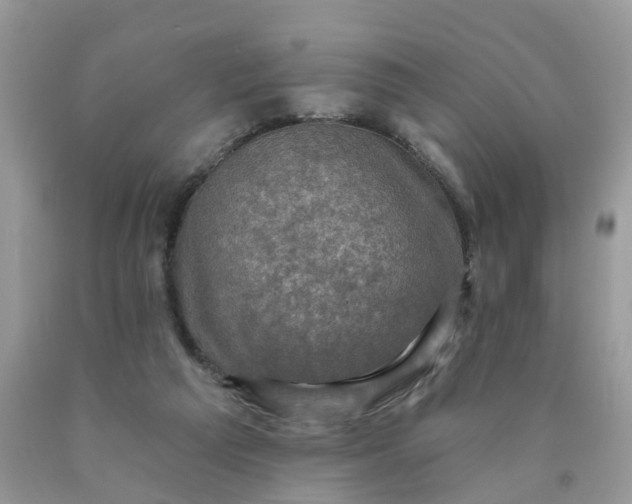 X0000090420209200707272117