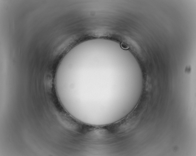 X0000090420210200707272117