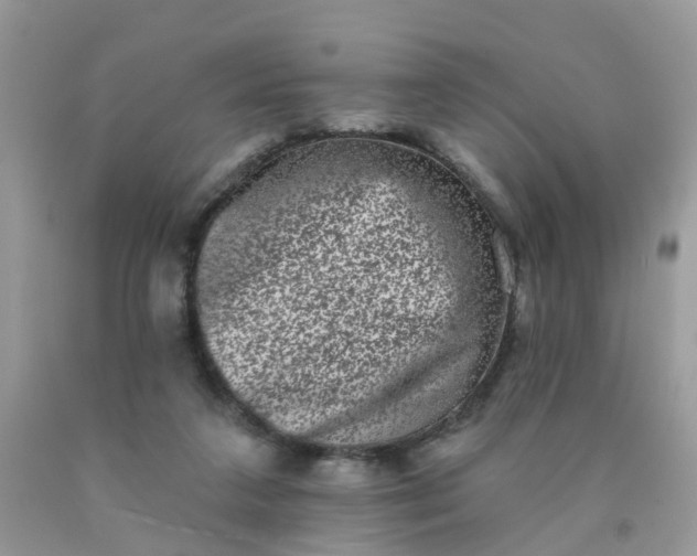 X0000090420211200707272117