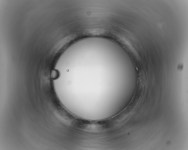 X0000090420212200707272117