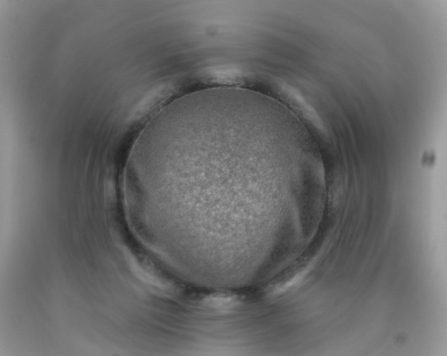 X0000090420213200707272117