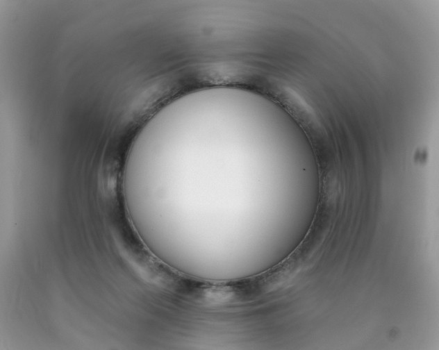 X0000090420214200707272117