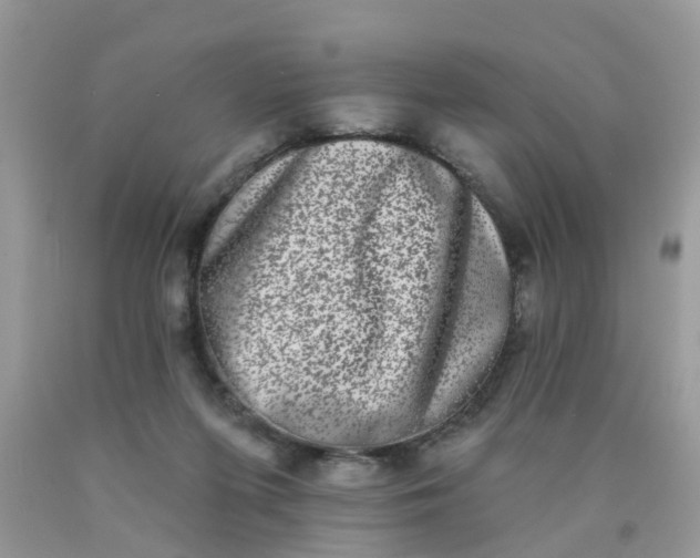 X0000090420215200707272117