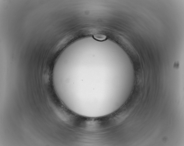 X0000090420216200707272117