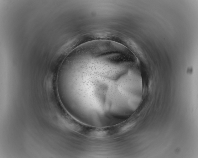 X0000090420217200707272117