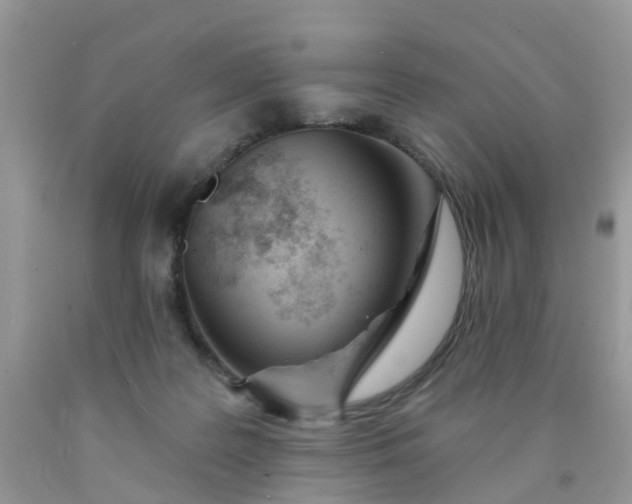 X0000090420219200707272117