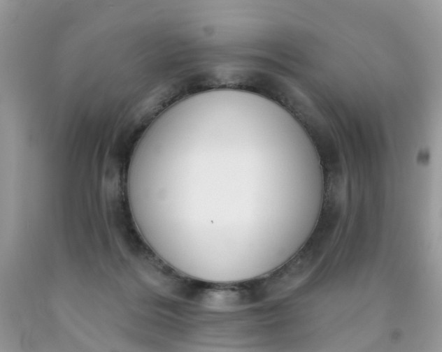 X0000090420220200707272117