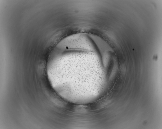 X0000090420222200707272117