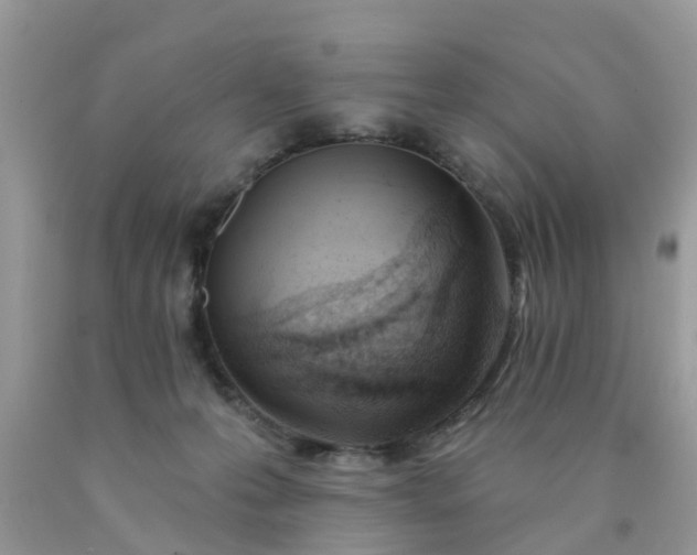 X0000090420223200707272117