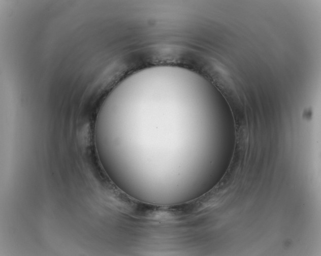 X0000090420224200707272117