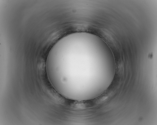 X0000090420228200707272117