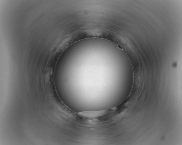 X0000090420229200707272117