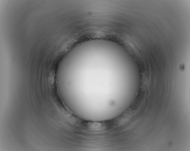 X0000090420230200707272117