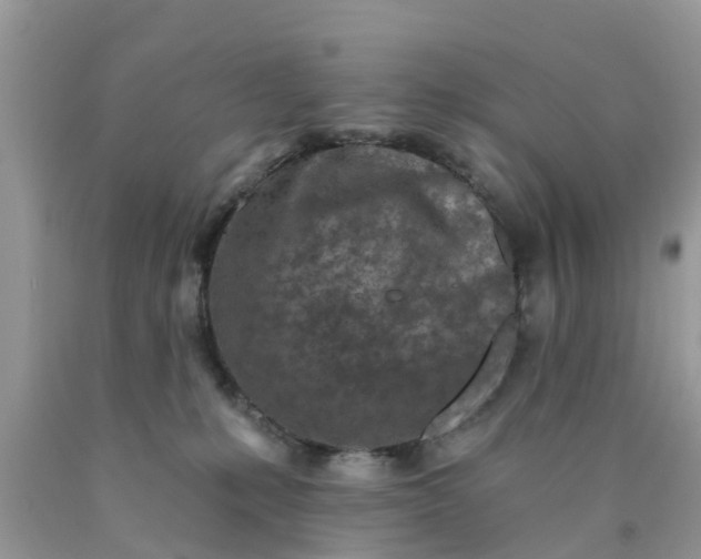 X0000090420231200707272117