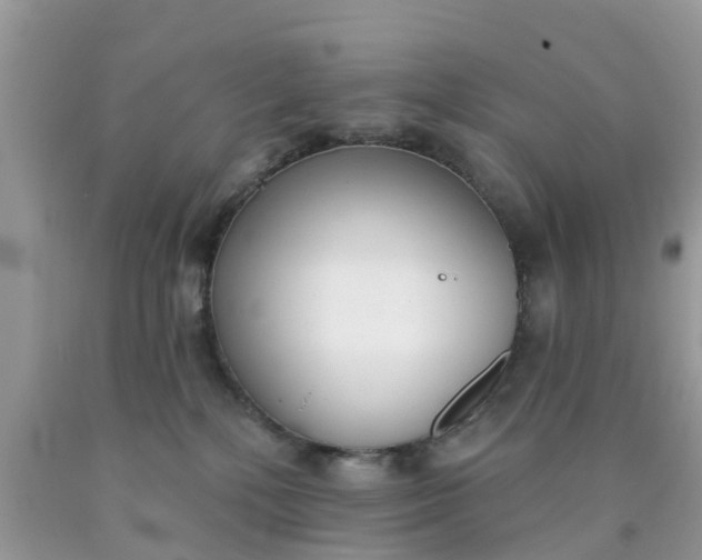 X0000090420232200707272117