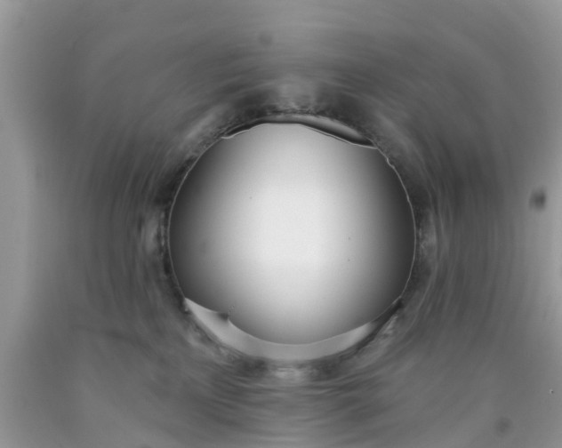 X0000090420233200707272117