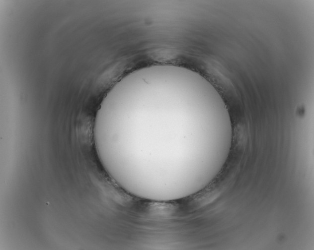 X0000090420234200707272117