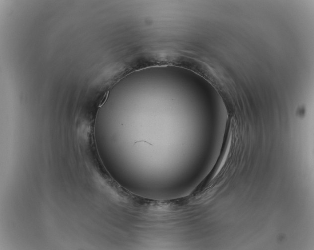 X0000090420235200707272117