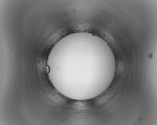 X0000090420236200707272117