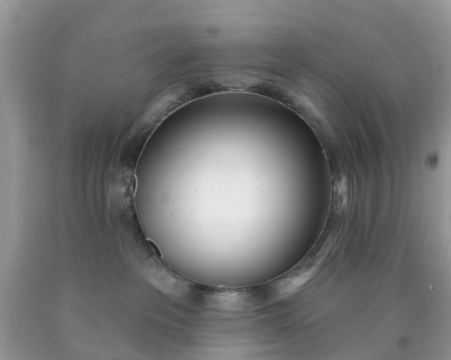 X0000090420237200707272117