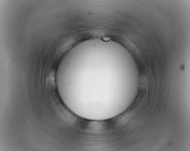 X0000090420238200707272117