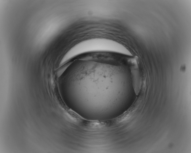 X0000090420239200707272117