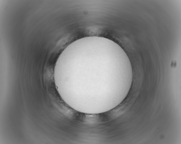 X0000090420240200707272117