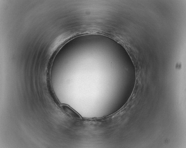 X0000090420242200707272116