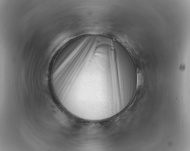 X0000090420243200707272116