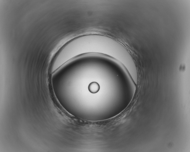 X0000090420244200707272116