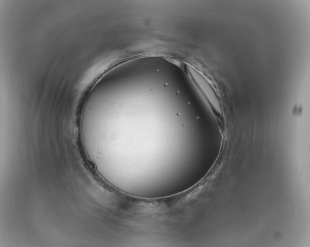 X0000090420245200707272116