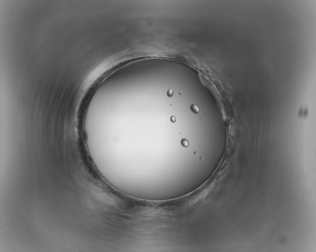 X0000090420246200707272116