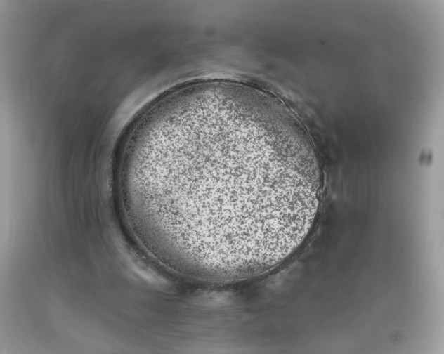 X0000090420247200707272116