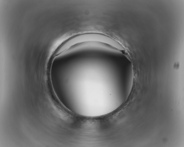 X0000090420248200707272116