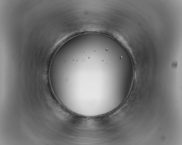 X0000090420249200707272116